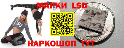 индика Ипатово
