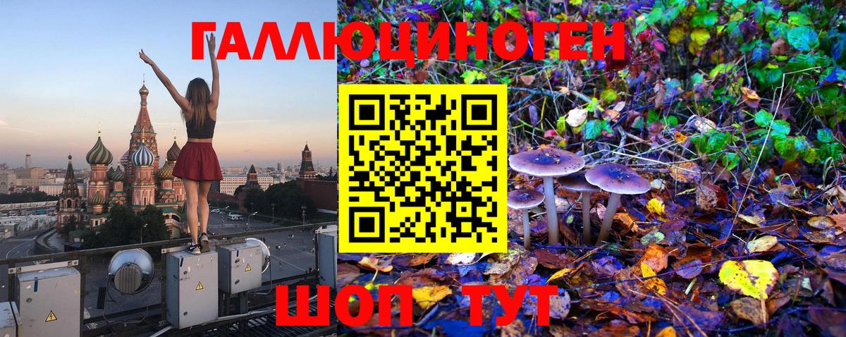 Галлюциногенные грибы GOLDEN TEACHER Кубинка