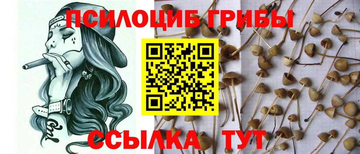 Псилоцибиновые грибы ЛСД  Вход с VPN  Кубинка 